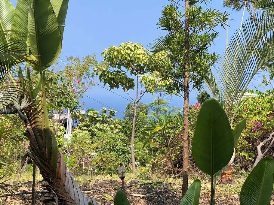 Holiday home The Pineapple Express Hot Tub Volcano 65 Mi Away Papa Bay United States